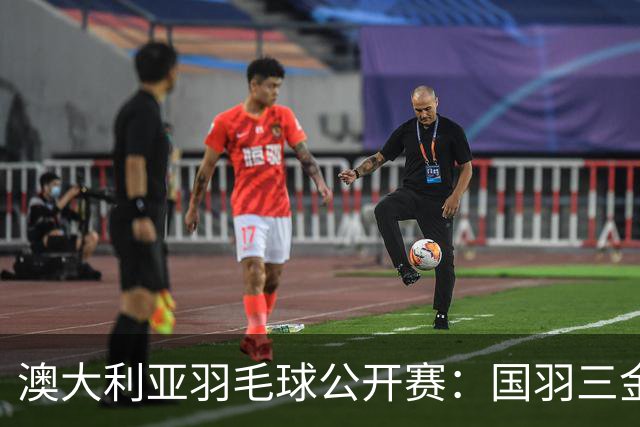 澳大利亚羽毛球公开赛：国羽三金两银收官